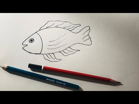 How to draw fish