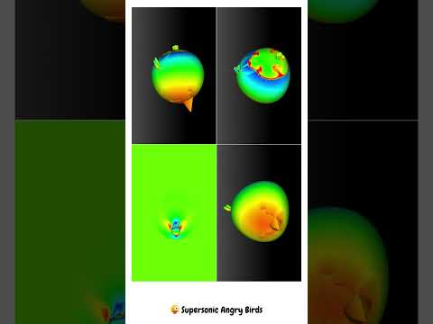 🦜Supersonic Flow - Angry Birds CFD simulation