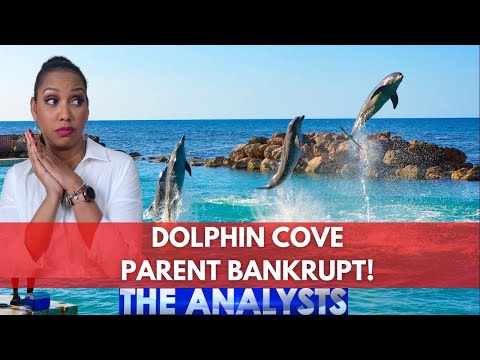 What will happen to Dolphin Cove stock?