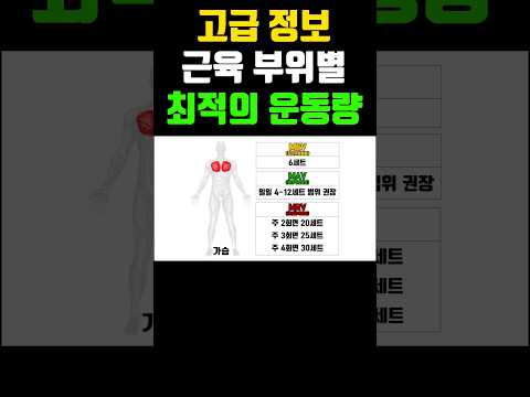 근육 부위별 가장 효과적인 운동량