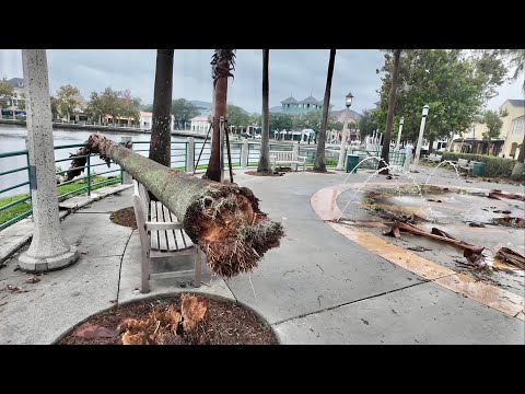 The Aftermath Of Hurricane Milton In Celebration Florida - Taking Golf Cart Around Town After Storm