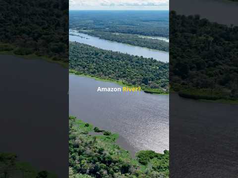 Why Amazon River Has No Bridges?🌁