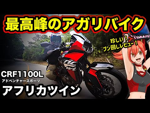 アフリカツインは予想を裏切る魔法のバイク！必ず経験すべき一台だ【HONDA(ホンダ)CRF1100L Africa Twin Adventure Sports/ES(アドベンチャースポーツ)】