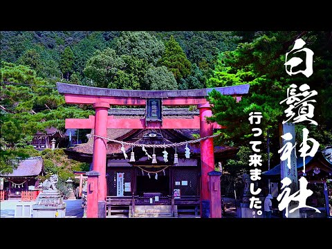 #旅行　#神社　#VLOG　　白鬚神社に寄り道してきました。