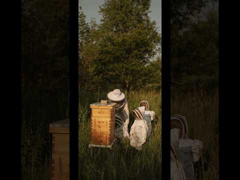 Beekeeping With Kids ❤️🐝 #shorts #beekeeping #beekeeper #savethebees #beekeeperslife