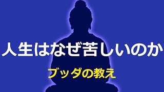 あなたがいつも苦しい理由【仏教の教え】