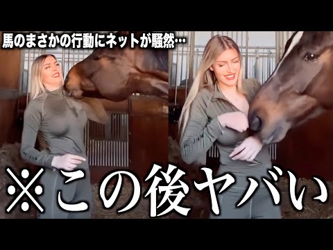 【神回】ツッコミどころ満載な動物のおもしろ動画見ようぜwwwwww傑作集②【ハプニング映像】【犬】【猫】