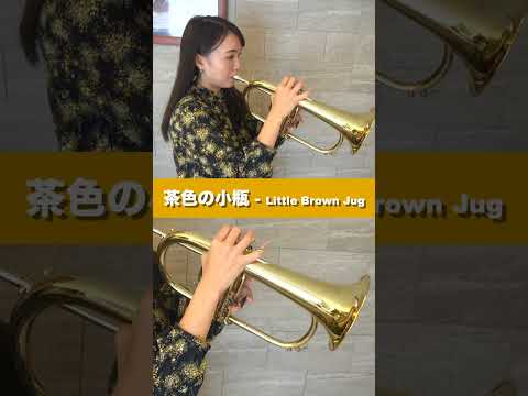 【フリューゲルホルン】茶色の小瓶 - Little Brown Jug / 57000円の格安楽器で演奏してみた！