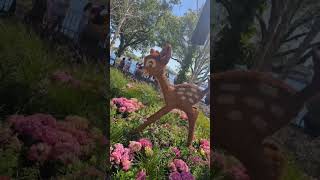 Opening day at Epcot's Flower and Garden festival 2024 #epcot #flowerandgarden #waltdisneyworld