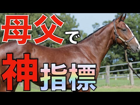 母父として才能開花！世代別リーディングから見える意外な種牡馬たち。