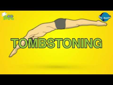 How to Participate in Tombstoning? Cliff Jumping