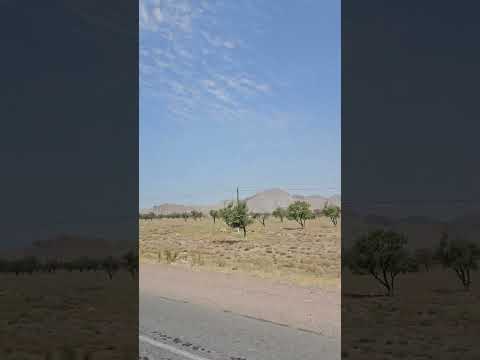 From Khujand, Tajikistan to the Uzbekistan border 타지키스탄 후잔트에서 우즈베키스탄 국경으로 가는 길