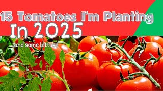 15 Tomatoes I'm Planting in 2025