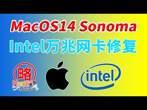 【老高分享】MacOS Sonoma修复Intel万兆网卡无法使用，无需Ubuntu在Windows下即可完成，以浪潮x540-AT2/x520-DA2为例