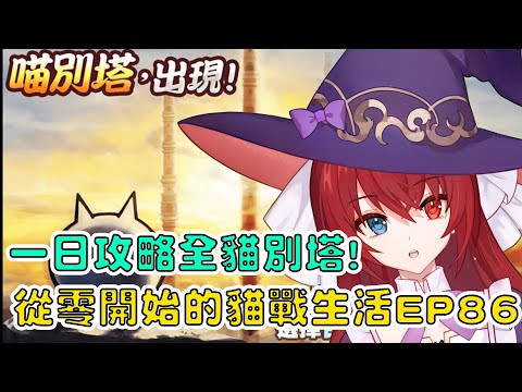 【貓咪大戰爭】從零開始的貓戰生活EP86 一日攻略全貓別塔！