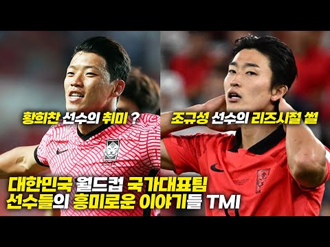 대한민국 월드컵 국가대표팀에 대한 흥미로운 이야기들 (TMI 특집)