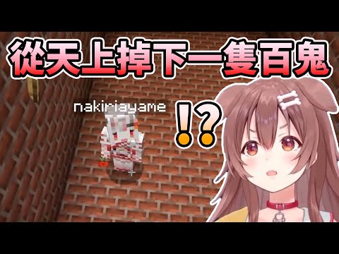 【Minecraft】狗狗蓋房子途中掉下了一隻百鬼【HOLO中文翻譯/戌神ころね/百鬼あやめ】