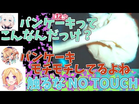 はあちゃまクッキング中にアキロゼが凸して、ちゃまママに挨拶。油ひかずにパンケーキを焼こうとするちゃまに後から白上も参戦してツッコミ入れる！！！【赤井はあと//アキロゼ/白上フブキ/ホロライブ切り抜き】