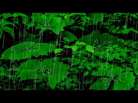 Relaxing Rainforest Thunderstorm | 10 Hour Soothing Sleep Ambience | Rain Sounds to Sleep