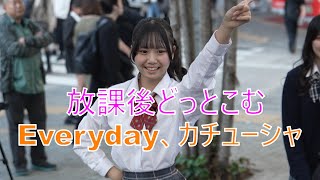 放課後どっとこむ 【Everyday、カチューシャ／AKB48】路上ライブ