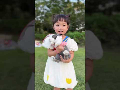 現在假日不只要溜孩子，還要溜兔子🐰👧🏻💕 #3y9m