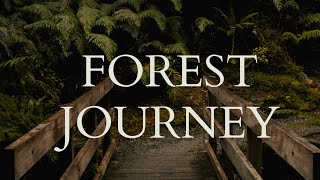 Forest Journey😍 #naturelovers #anxietyrelief #relaxationworld #youtubevideo