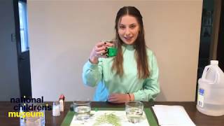 STEAMwork Science Exploration: Pinpointing Pollution w/ Anna