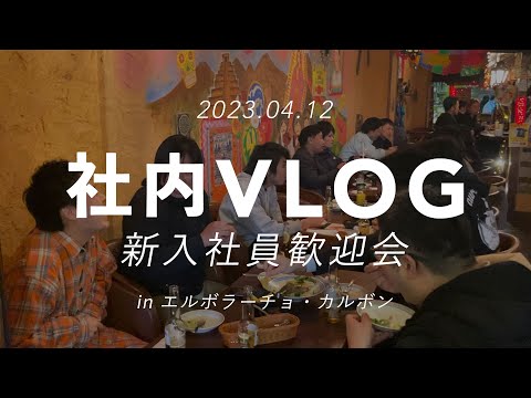 【社内Vlog】月末会議 新入社員歓迎 編