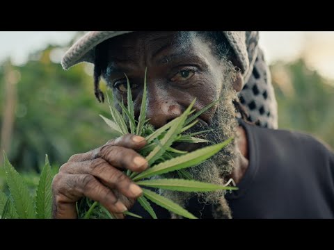 Weed Dub Rap (Dub Mix • Dub Music • Reggae Roots)