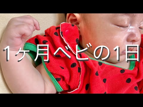 【vlog】生後1ヶ月の赤ちゃんの1日