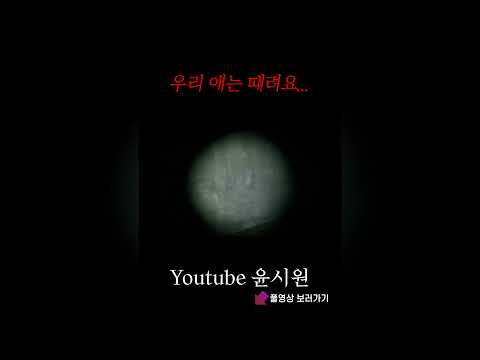 우리 애는 때려요... [공포 심령 일본] #shorts