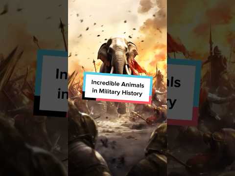 Elephants: The Giants of Ancient Warfare #shorts #warhistory