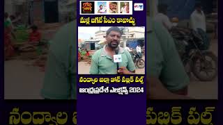 మళ్లీ జగనే సీఎం కావొచ్చు  #ap2024election #dhone #publictalk #nandyala