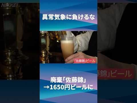 【コメ品薄】異常気象に負けるな　廃棄「佐藤錦」🍒→1650円ビールに【映像でわかる】#日経　＃熱中症