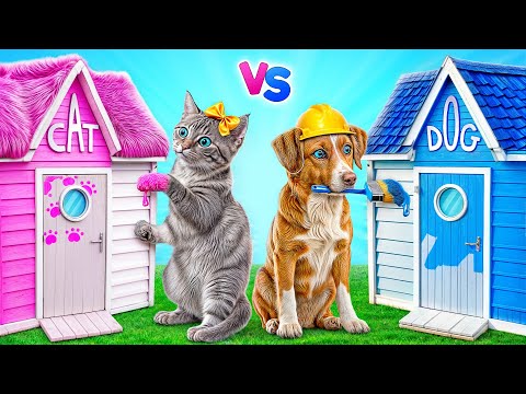 We Built a House For Pets | Prank Wars by Multi DO Smile