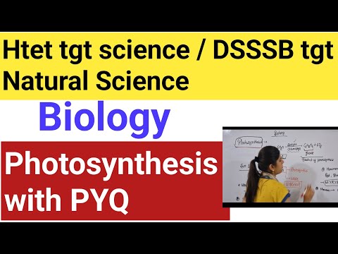 Photosynthesis biology || Htet tgt science/ DSSSB tgt Natural Science preparation