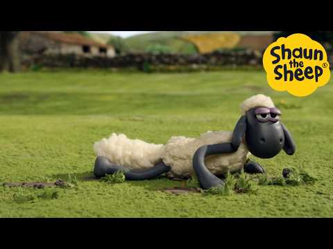 Early Morning Sheep🐑 Shaun the Sheep - Cartoons for Kids 🐑 Full Episodes Compilation [1 hour]