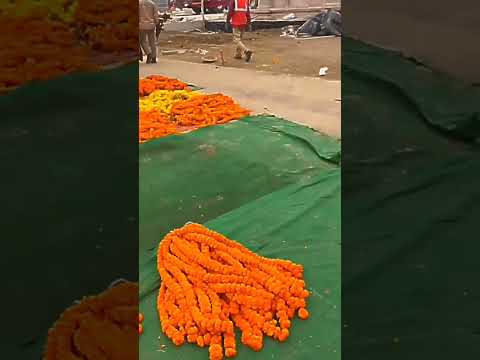 अयोध्या राम मंदिर को सजाने के लिए बंगाल से आए फूल ।#ayodhya#viral video