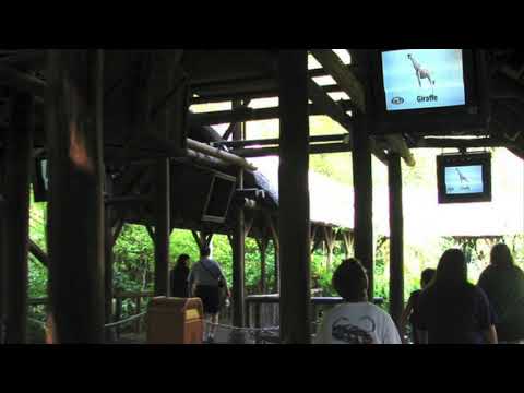 Kilimanjaro Safari Queue Video (audio Only)