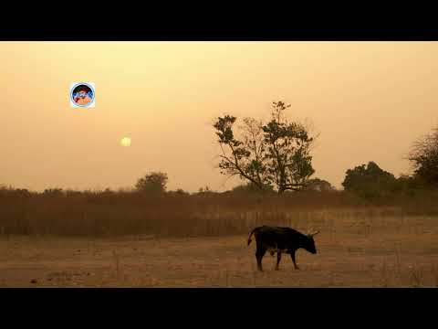 **"Guinea: Exploring the Heart of West Africa 🌍✨"**