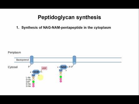 Microbio ABT CM2 2020