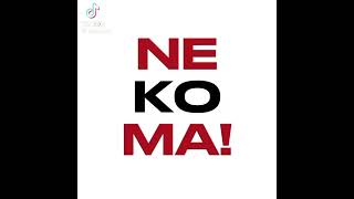 WOOH! EVERYBODY SAY! WOOH OH NEKOMA! ~My fav Nekoma chant (Not mine) #tiktok #haikyuu #Nekoma #Kuroo