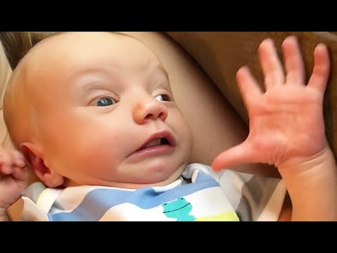 Try Not To Laugh with Hilarious Baby Reactions to Everything 🤣👶