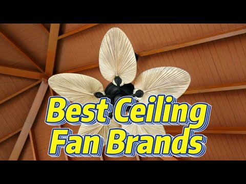 10 Best Ceiling Fan Brands to Keep You Cool This Summer