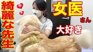 愛しの女医さん.秋田犬.感激・綺麗な先生・Loveタッチ♪veterinary hospital