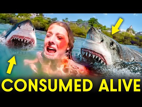 This Girl Was EATEN ALIVE By a Pack of Sharks!