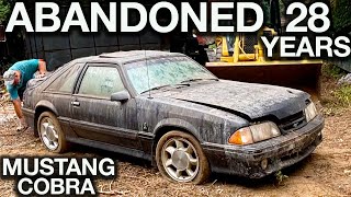 Abandoned Mustang Cobra First Wash in 28 Years! Insane Before and After Transformation