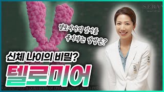 노화를 멈추는 비밀.   텔로미어   The key to anti-aging, Telomere.