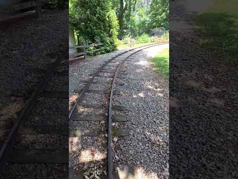 riding the train at the zoo.