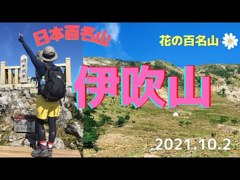 【登山】はじめての伊吹山登山に挑戦❗　景色も最高💙🍁